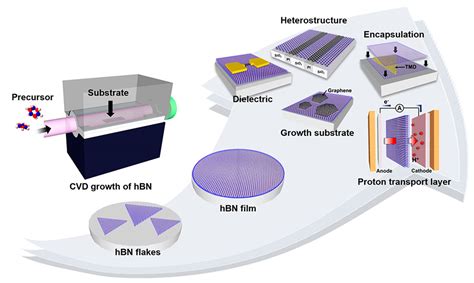  Boron Nitride: Un Rivoluzionario Materiale per Elettrodi ad Alta Prestazione e Dispositivi Opto-Elettronici di Nuovo Generazione?