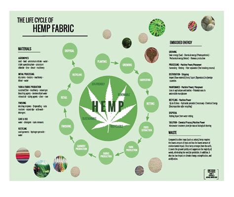 Hemp Fiber: Unraveling Its Potential for Sustainable Textile Production!