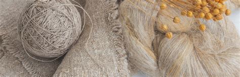  Rambling Ramie: Unveiling the Versatility and Strength of This Remarkable Natural Fiber!